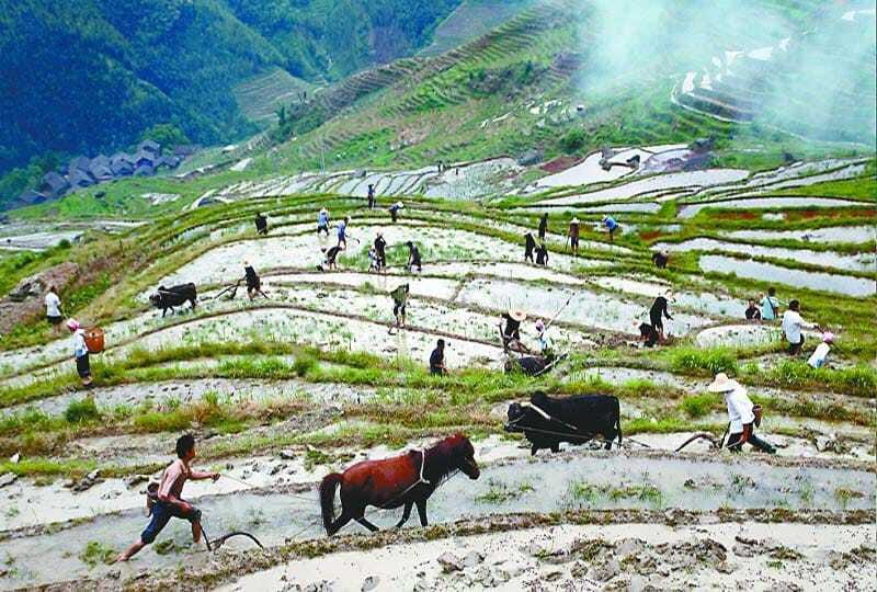 Longsheng Ethnic Minority & Rice Terraces Full-Day Tour - What the $169 price includes