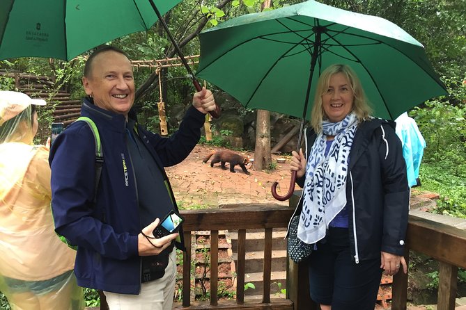 Mini Group: Half-Day Chengdu Pandas Guided Tour - The 7:30 a.m. pickup inside Chengdu’s 3rd Ring Zone