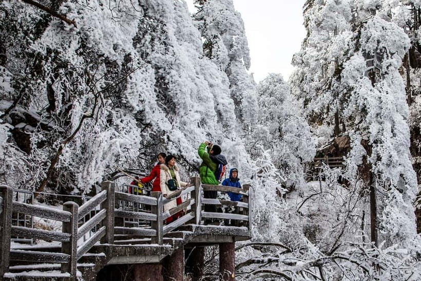 Mount Huangshan: Highlights Tour in Huangshan full-day - Booking flexibility and practical details