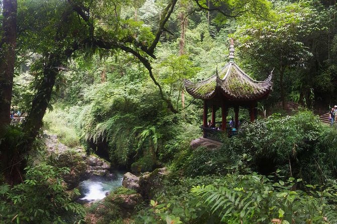 Mt Emei and Giant Buddha 2 Days Tour - Golden Summit: a separate plan with a much longer day