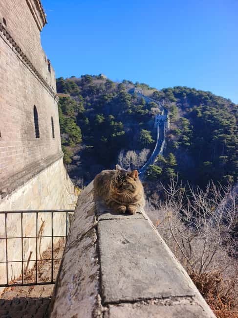Mutianyu Great Wall Private Tour with English Driver - Walking the Wall and Choosing Your Route