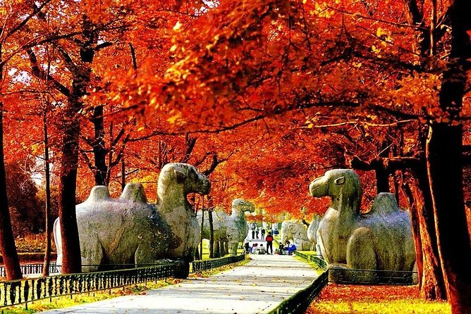 Nanjing City Private Customized Day Tour with Lunch - Key points at a glance