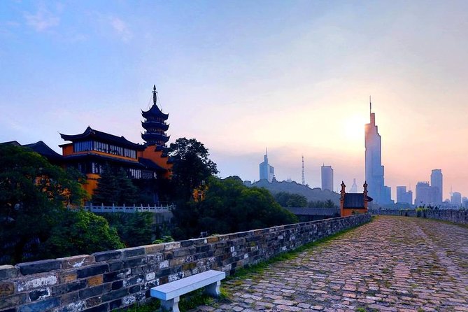Nanjing City Private Customized Day Tour with Lunch - Guides, language, and the private format