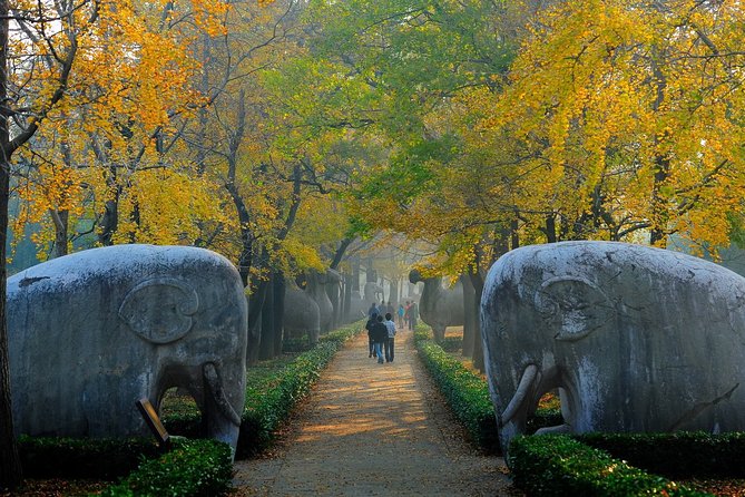 Nanjing Private English Tour Guide Service - Building an eight-hour itinerary around your interests