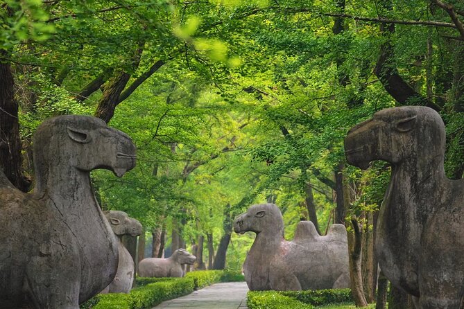 Nanjing Professional and Private Tour Guide Service - Lunch, transport, and the pace of the day