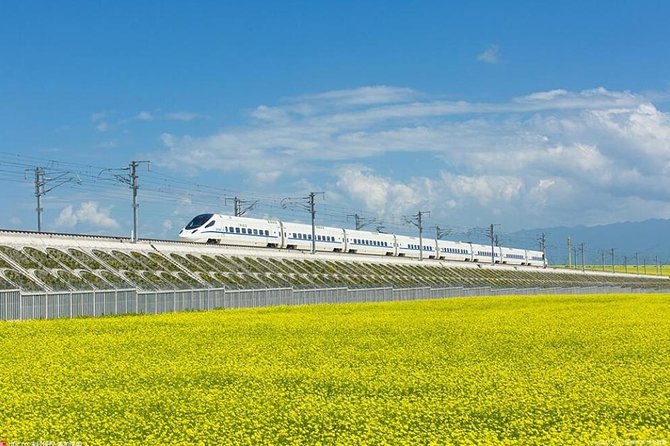 One Day Chengdu Xian Tour by Bullet Train - Why this day trip works, and why it feels demanding