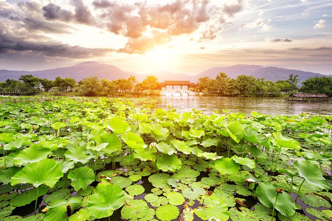 One-Day Hangzhou Dragon Well Tea Culture & West Lake Private Tour - Why this Hangzhou day works well
