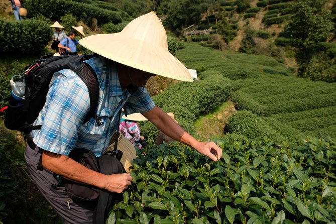 One-Day Hangzhou Dragon Well Tea Culture & West Lake Private Tour - What the China National Tea Museum adds