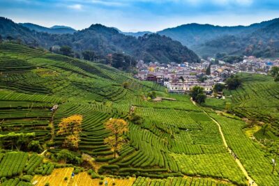 One-Day Hangzhou Dragon Well Tea Culture & West Lake Private Tour