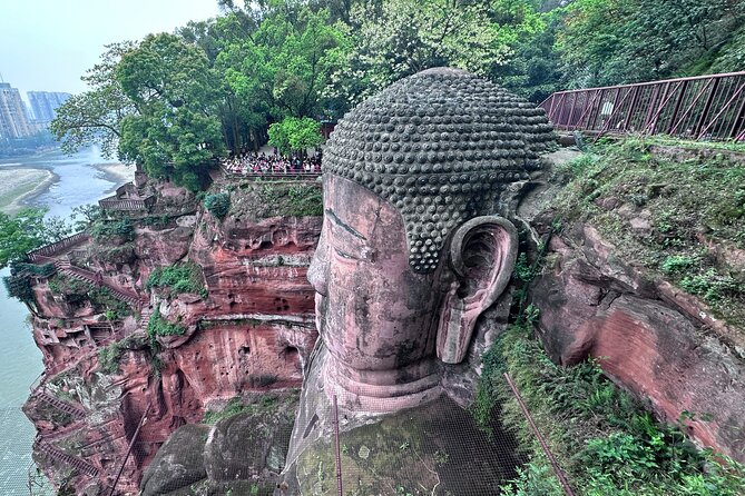 Panda, Leshan, and Emei Mountain 2-day tour - Three hours with Chengdu’s giant pandas