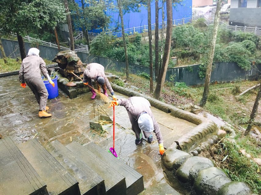 Panda Volunteer Project Day Trip(Wolong/Du Jiang Yan) - Key points to know before you book