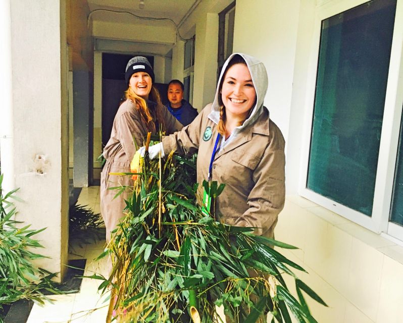 Panda Volunteer Project Day Trip(Wolong/Du Jiang Yan) - An early start from Chengdu
