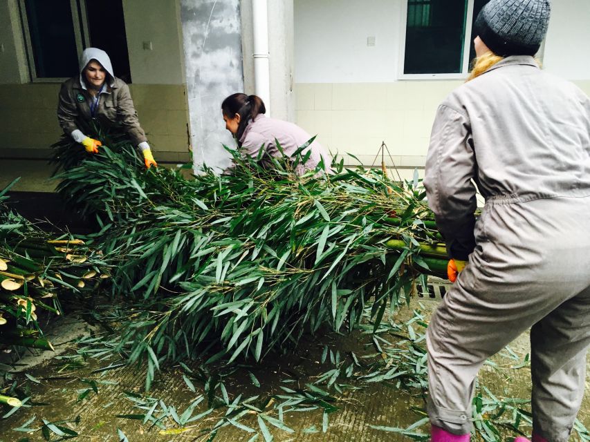 Panda Volunteer Project Day Trip(Wolong/Du Jiang Yan) - A buffet lunch and a slower afternoon