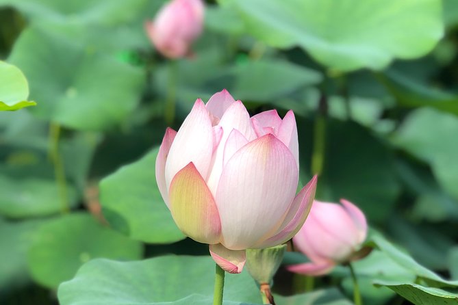 Private Customized Macau Day Tour from Hong Kong - Lilau Square and Mandarin’s House Show Two Macaus