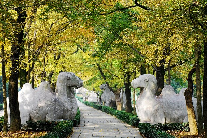 Private Flexible Nanjing City Day Trip from Shanghai by Bullet Train - Zhonghua Gate and the military city walls