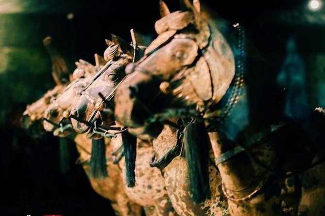 Private Half-Day Tour of Xi'an Terracotta Warriors - Guide quality can change the whole experience