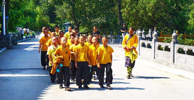 Private Tour: Longmen Grottoes, Shaolin Temple & Kungfu Show - What the private guide adds at Longmen