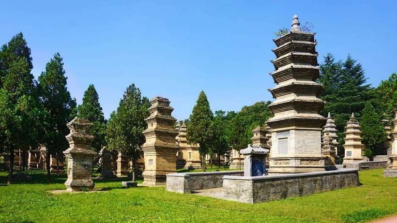 Private Tour: Longmen Grottoes, Shaolin Temple & Kungfu Show - Lunch and the Shaolin kung fu show