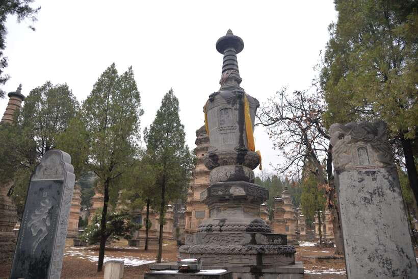 Private Tour: Longmen Grottoes, Shaolin Temple & Kungfu Show - Who will get the most from this tour?
