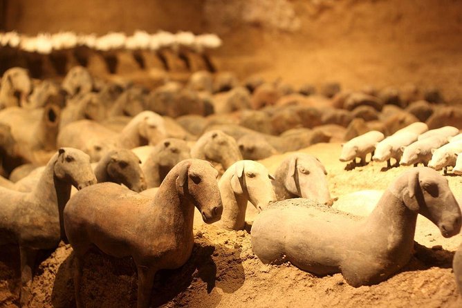 Private Xi'an Tour: Terracotta Warriors, Hanyangling Museum, Cave Homes - Three hours with Qin’s clay army