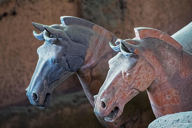 Private Xi'an Tour: Terracotta Warriors, Hanyangling Museum, Cave Homes - Is $175 a fair price?