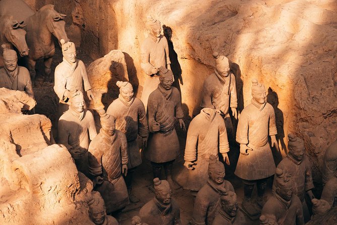 Private Xian Day Tour: Terracotta Warriors, Big Wild Goose Pagoda - Why the Terracotta Warriors deserve the morning