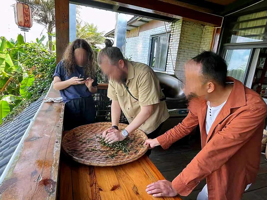 Puer Tea Picking and Tasting | 6 Hour Morning Trip - Seeing fresh leaves become Pu’er tea