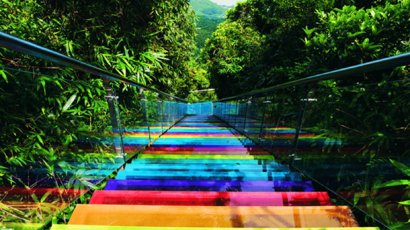 Sanya: Yalong Bay Tropical Forest Ticket and Tour Car - Walking the tropical rainforest trails