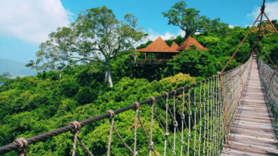 Yalong Bay Tropical Forest Ticket and Tour Car