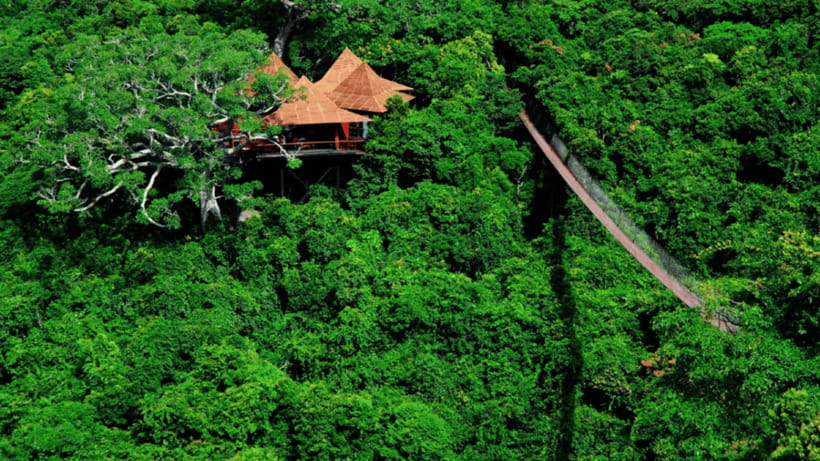 Sanya: Yalong Bay Tropical Forest Ticket and Tour Car - Cable cars, zipline rides, and other add-ons