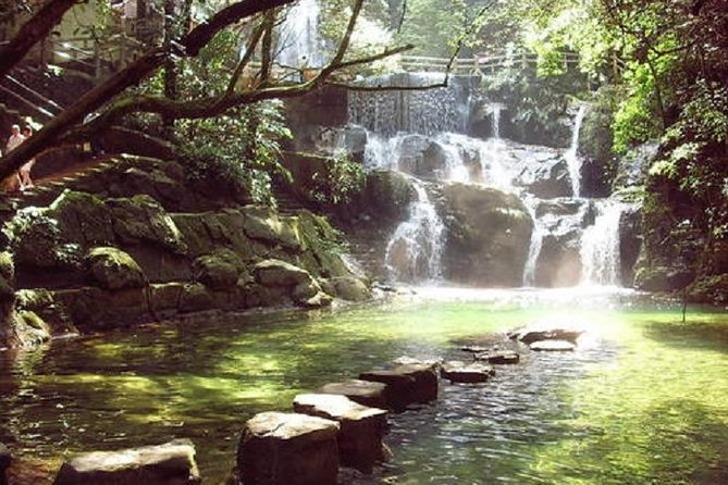 Seven Star Crag and Dinghu Mountain private day tour from Guangzhou - Should you book Seven Star Crag and Dinghu Mountain?