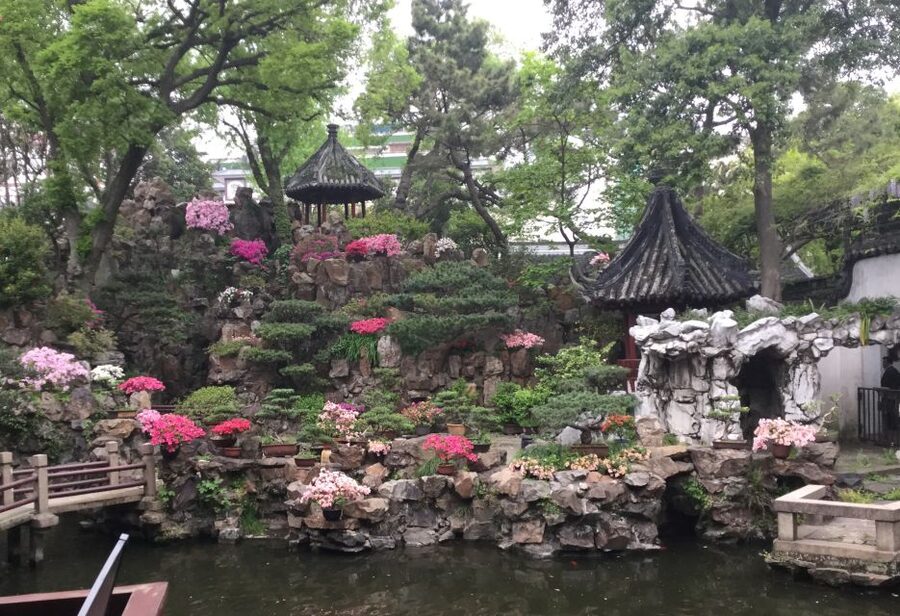 Shanghai: 4-Hour Guided City Highlights Tour - Key points to know before booking