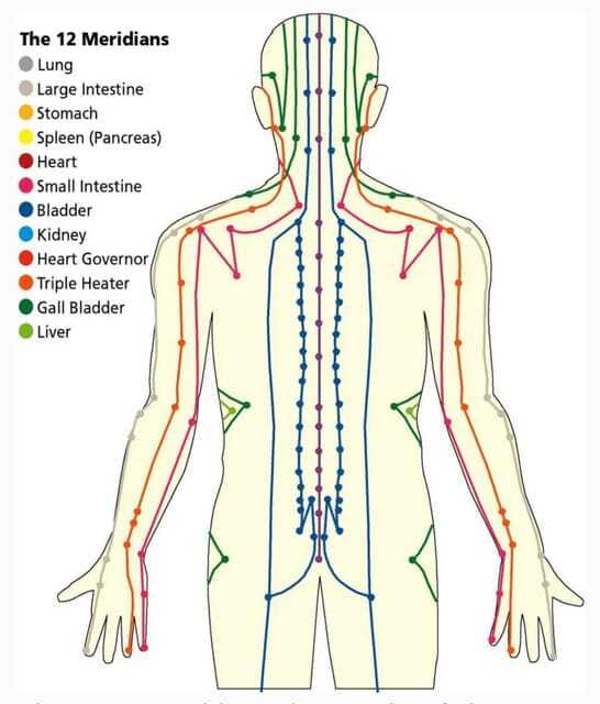 Shanghai:Authentic Chinese Body/Foot Massage, Hair& Head SPA - Cupping adds visible evidence of the treatment