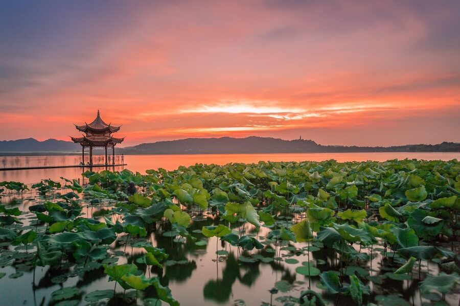 Shanghai: Private Guided Tour to Hangzhou by Bullet Train - Why Hangzhou makes a strong day from Shanghai