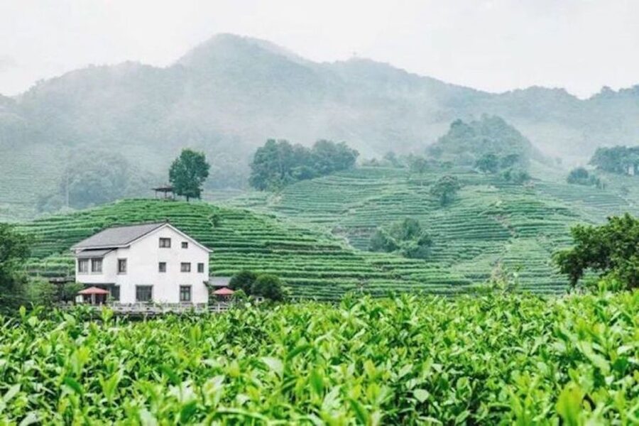 Shanghai: Private Guided Tour to Hangzhou by Bullet Train - Who should book this Hangzhou day trip?