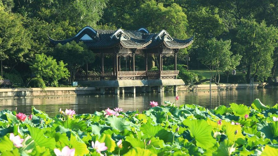 Shanghai: Private Guided Tour to Hangzhou by Bullet Train - West Lake by foot and boat