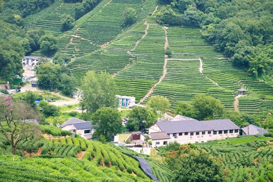 Shanghai: Private Guided Tour to Hangzhou by Bullet Train - Lingyin Temple and its carved Buddhist art