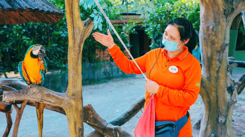 Shanghai: Wild Animal Park Ticket - Feeding sessions and camel rides