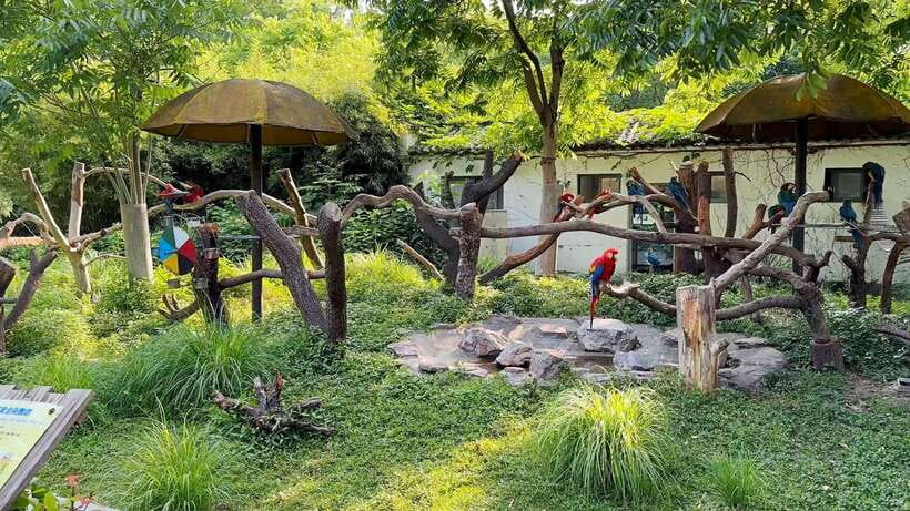 Shanghai: Zoo and Zhujiajiao Water Town Tour with Boat Ride - Market lanes, food stops, and shopping