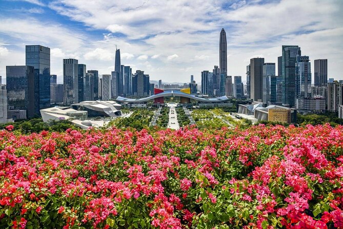 Shenzhen Private Day Tour with Car Service Tech+Culture+Shopping - Key points to know before booking