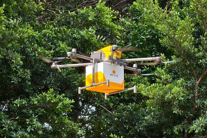 Shenzhen Tech Tour: Explore the Future - Drone food delivery in a Shenzhen park