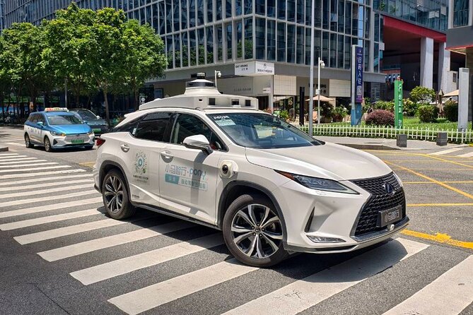 Shenzhen Tech Tour: Robotaxi, Drone Delivery & Innovation Demos - Binhai Avenue: your first ride in a robotaxi