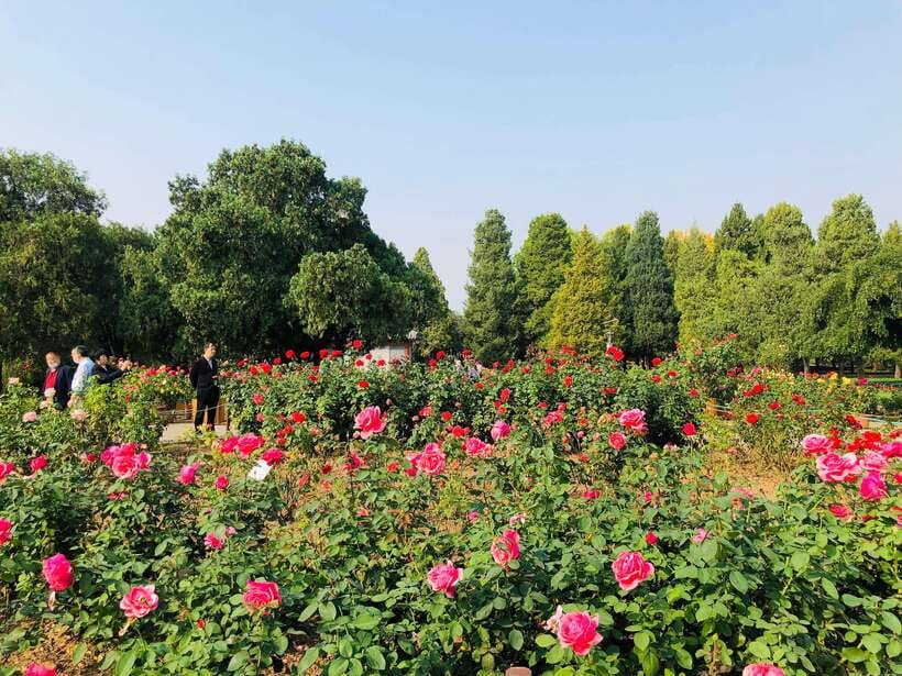 Temple of Heaven Ticket - What the ticket includes, and what it does not