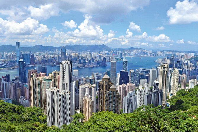 Top-Rated Hong Kong Tour: Peak Tram, Dim Sum & Cultural Sights - Tim Ho Wan and the 10-dish dim sum meal