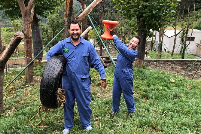 Visiting Dujiangyan Yaan Wolong Panda Base Optional Volunteering - Why this panda day feels different