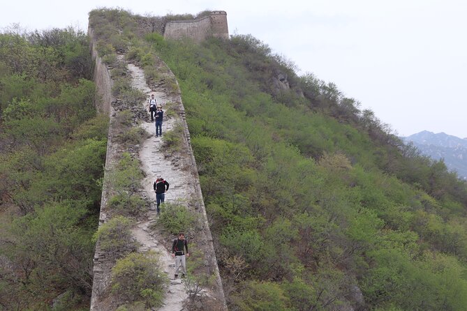 Wild Great Wall Hikes - Summit snacks and the descent