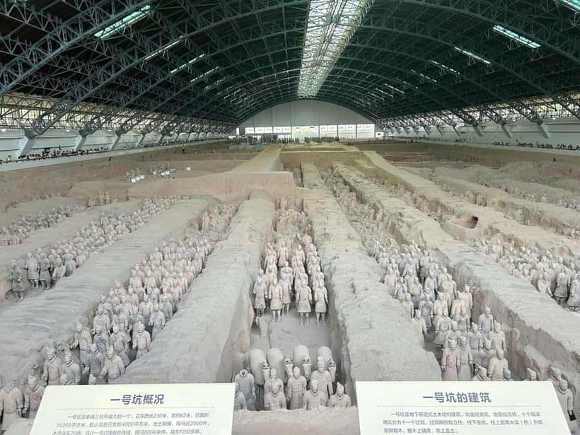 Xi'an: Exclusive Terracotta Army Tour & Local Family Lunch - Key points at a glance