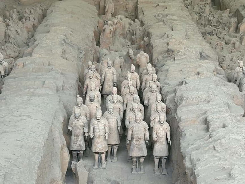 Xi'an: Exclusive Terracotta Army Tour & Local Family Lunch - Guide quality and the value of clear English