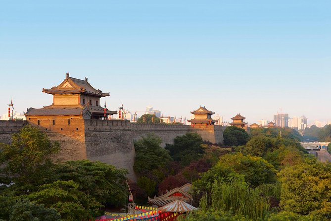 Xi'an Private Full-Day Tour with Terracotta Warriors, City Wall - Who Should Book This Day?