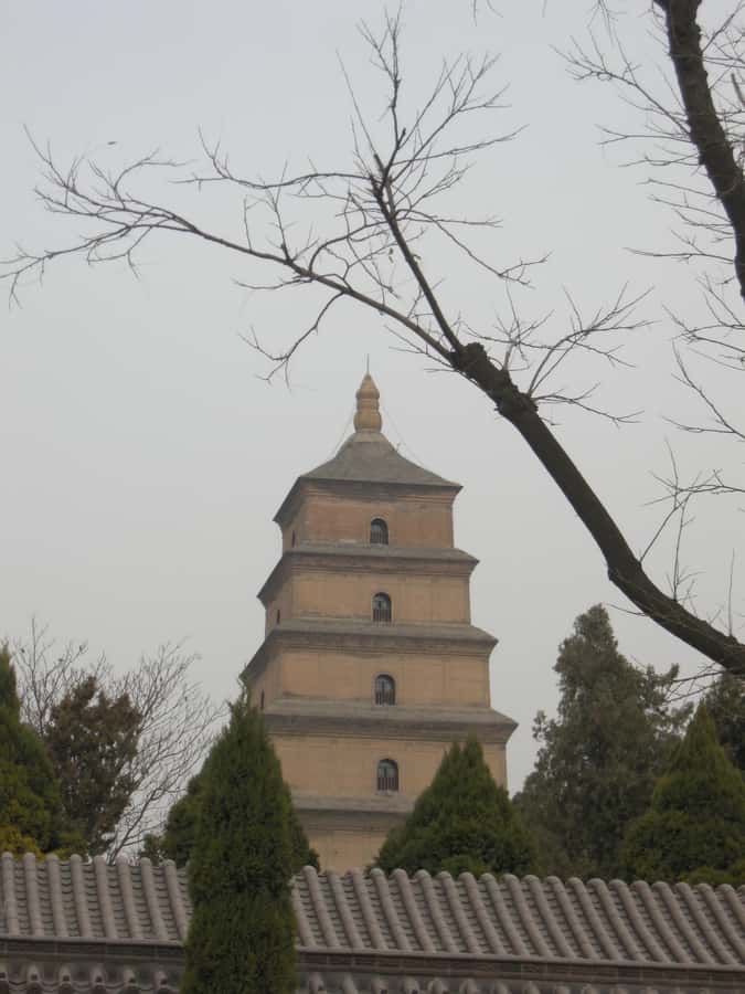 Xi'an: Terra-Cotta Warriors Entry with Optional Guide - Pit No. 1: The Main Army Hall
